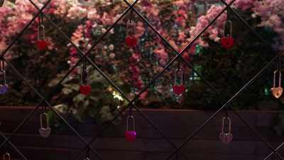 If the key undoes
their heart-shaped lock, - Love Trip: Paris