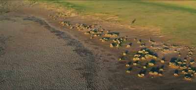 If the lakes
continue to disappear, - Eating Our Way to Extinction