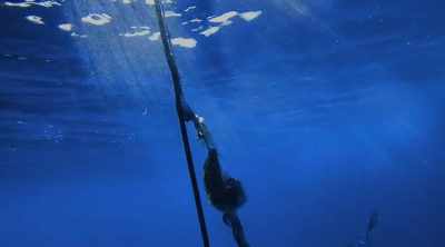 If the shark's hungry, - Shark Attack Files
