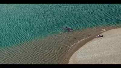 If the slope is too shallow, - Our Oceans