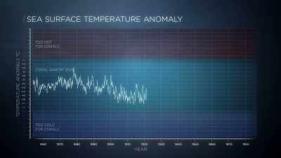 If the temperature were staying constant, - Chasing Coral