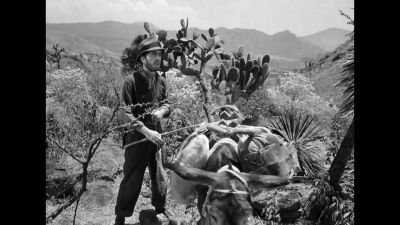 If there was gold in them mountains - The Treasure of the Sierra Madre