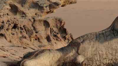 If there is one thing
that attracts flies more than a carcass… - Prehistoric Planet