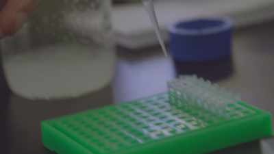 If there's a shark DNA
in this thing, - Sharkwater Extinction