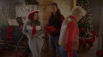 - If there's one thing we know
how to do here in paradise, - Mistletoe in Montana