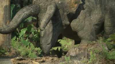If there's one thing
that he has in spades, - Prehistoric Planet