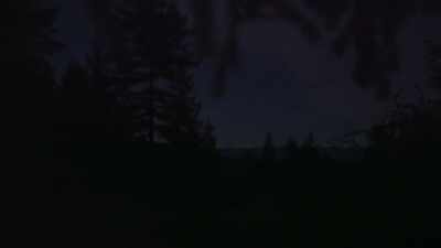 If there's something out
there, - Expedition Bigfoot