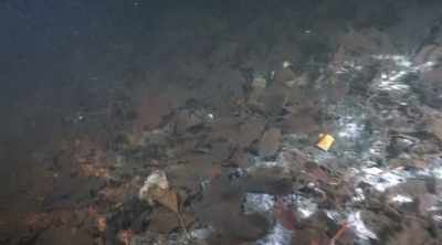 If these rocks
pile up long enough, - Sewer Divers