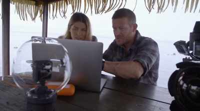 If these tigers
cooperatively hunt, - Shark Attack Files