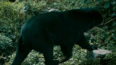 IF THEY ARE,
IS IT POSSIBLE THAT - Expedition Mungo