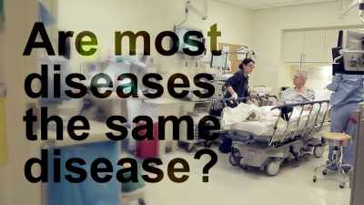 If you think about
what the major causes - The Magic Pill