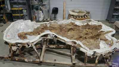 IF THIS IS A JUVENILE T. REX,
THE REX CAST THAT PETE'S - Dino Hunters