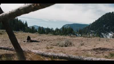 If this is the last thing I see... - Yellowstone