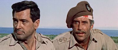 If those tanks reach El Alamein - Tobruk