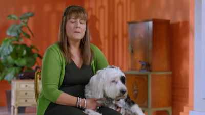 If you walk by him
and he's just laying there, - 2022 American Rescue Dog Show