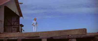 If you wanna send me a postcard, - The Dove