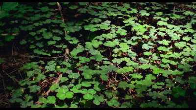 If we want to achieve drawdown, - Kiss the Ground