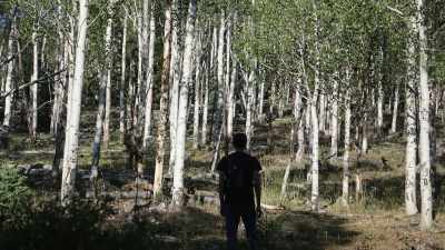 - If you want me to
describe my brother Gary, - Horror in the High Desert