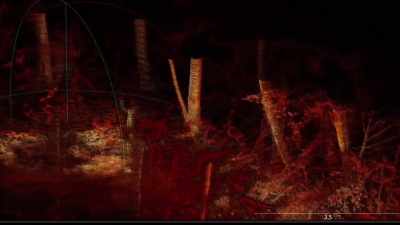  If this was a deer, - Expedition Bigfoot
