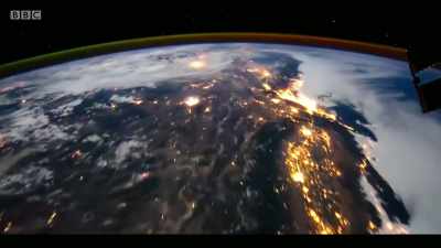 If we had acted more seriously, - Extinction: The Facts