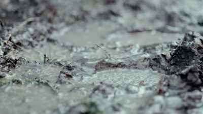 If we were to dig
in the rain, - Floribama Murders