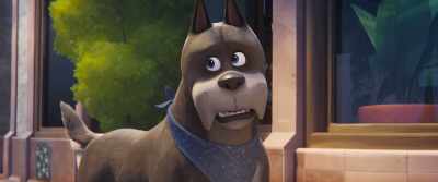 If we're goin' off that, I'd say
you probably got a solid two days - DC League of Super Pets