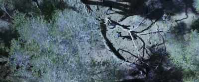 If we're successful,
the cataclysmic weather events - 4 Horsemen: Apocalypse