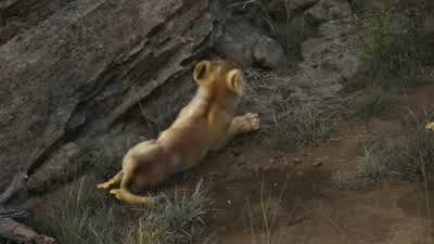 If you wish to kill somethingyou might want to stay downwindI know how to hunt Uncle ScarWell let's hope we're never attacked by a beetleGo back to your den Simba I don't babysitBabysit I'm gonna be the king of Pride RockMy dad showed me the whole - The Lion King