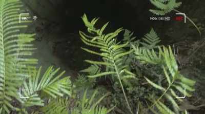 ‐ If Yamashita's men
rigged this tunnel - Lost Gold of World War II