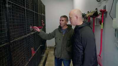 If you was Joe Bloggs down the road - Britain's Tiger Kings - On the Trail with Ross Kemp