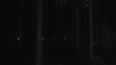 -If you were out there
on guard at night, - The Rebellious Life of Mrs. Rosa Parks