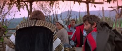 If you had stuck to the woods - Ladyhawke