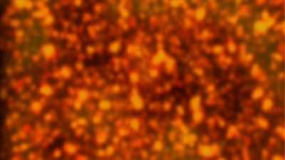 - If you were to go to this
planet, you would boil and burn - The UnBelievable with Dan Aykroyd