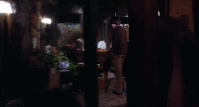 SEAGULLS SING YOUR HEARTS AWAY - Harold and Maude