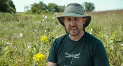 If you had weeds - The Pollinators