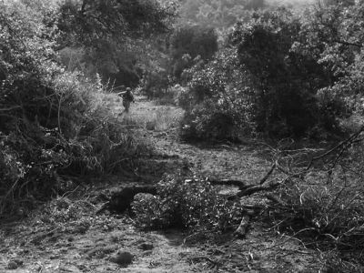 IF YOU
WERE TO ASK ME, - The Andy Griffith Show