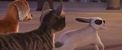 If you're cool,
you drop the "Las." - Gracie & Pedro: Pets to the Rescue