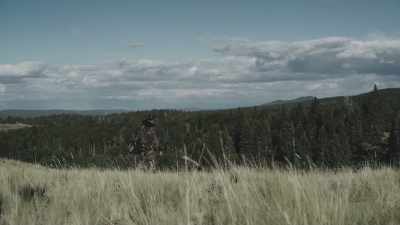 If you're going to purchase
a GPS device, - Missing 411: The Hunted