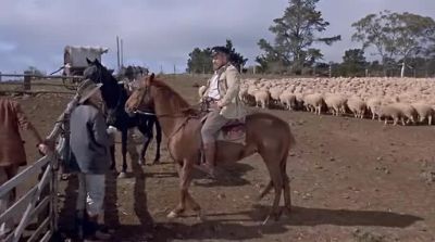 If you're gonna be a drover - The Sundowners