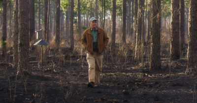 If you're good enough to kill a bird
every three or four or five hunts, - Stars in the Sky: A Hunting Story