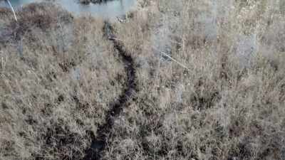 If you're not working
with the land, - Alone: Frozen