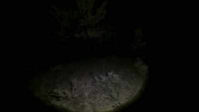 If you're out here, - Horror in the High Desert 2: Minerva