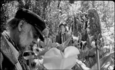 If you're tense… - The Wild Boys