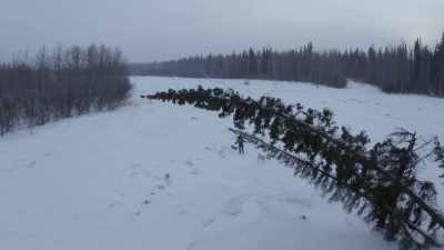 If you've read
anything about Alaska, - Life Below Zero: Next Generation