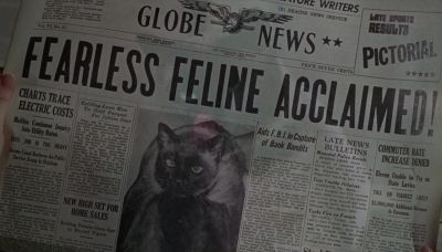 Iggy That darn cat - That Darn Cat!