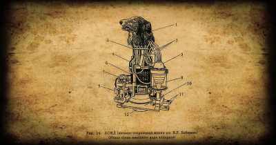 Így indult be a "Collie 5K" project. - Dark Web: Descent Into Hell