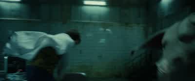 Ija! Are you okay? Ija! Ija! What did you say? I can't hear you! Ija! Are you okay? - Okja