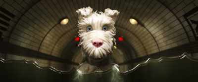 I'll always be loyal to you - Isle of Dogs