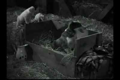 I'll ask him. - Of Mice and Men