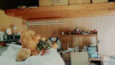 I'll be right back.
Don't go anywhere, okay? - Teddiscare